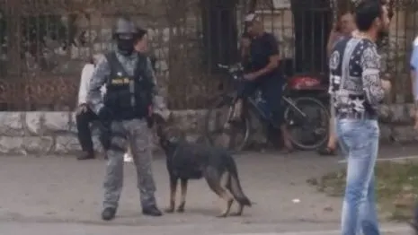 Scandal în plină stradă între clanurile celor mai bogate familii de romi din Timişoara 