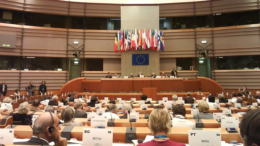 Guvernul a trimis nominalizările. Cine ne va reprezenta în Comitetul Economic și Social European