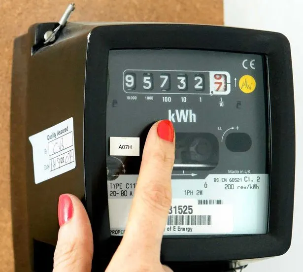 Credea că are panoul electric defect. Ce a găsit acolo îi va da coşmaruri toată viaţa
