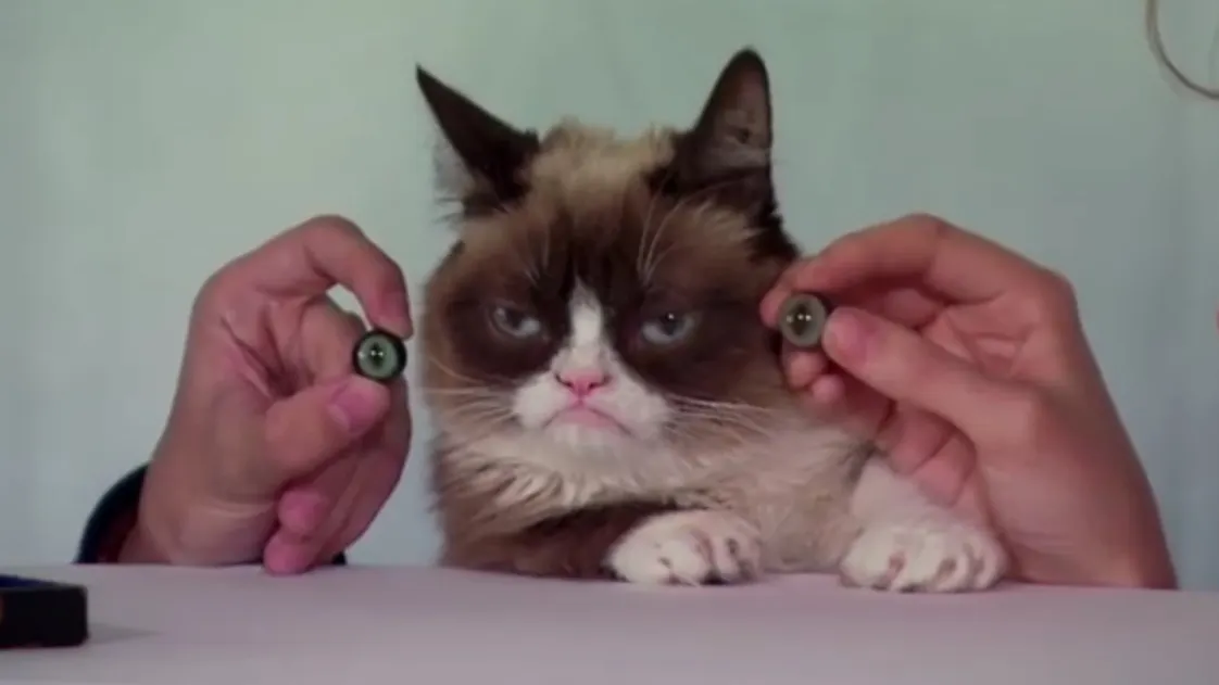 Celebra pisică Grumpy Cat va avea o statuie de ceară. Unde va fi expusă