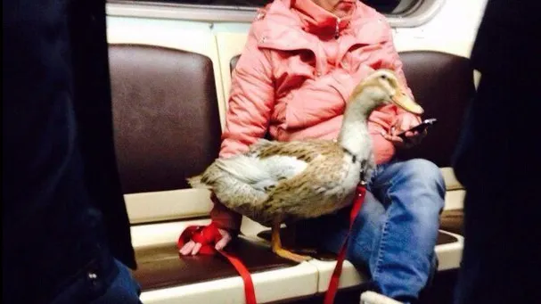 Cei mai ciudaţi oameni de la metrou. Nebunia lor nu are limite