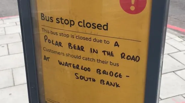 Staţie de autobuz din Londra, închisă din cauza unui "urs polar". Ce se întâmplase