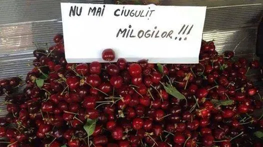  GALERIE FOTO. Cele mai comice anunţuri din magazine. Ai cumpăra aripioare de porc?
