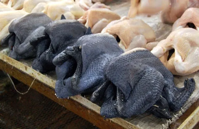Găina cu carnea neagră. Te va șoca cum arată!