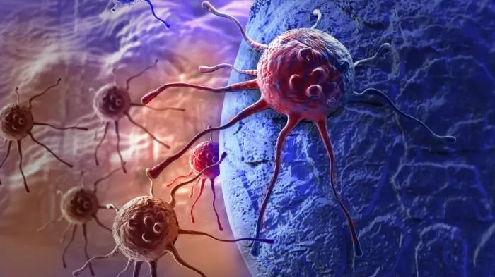 Celulele canceroase se distrug între ele dacă mănânci zilnic această plantă 