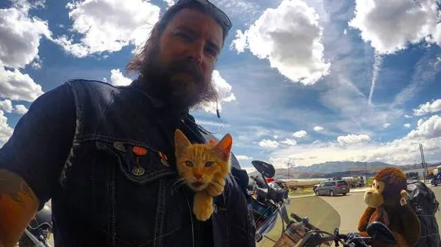 Un motociclist a găsit o pisică mică într-o benzinărie. Nu o să crezi îţi vină să ce a urmat