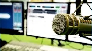 Lege unică în lume. Un deputat român cere subtitrare la radio