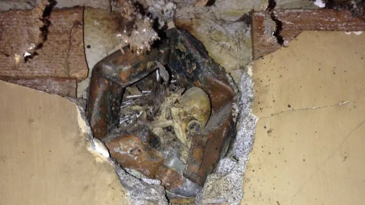 Renova casa, când a făcut o descoperire înspăimântătoare în perete. A ÎNGHEŢAT: Cum au ajuns acolo?