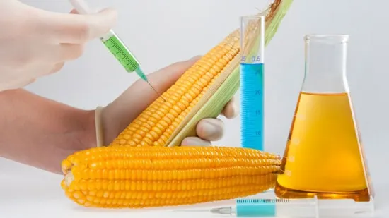 Le mănânci aproape zilnic. Cele mai periculoase E-uri din alimente