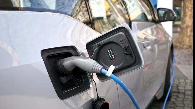 Posesorii de automobile electrice din Germania, în culmea fericirii. Ce avantaje li se oferă