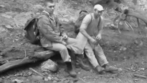 Revoltător: ce au surprins camerele de supraveghere într-o pădure din Munţii Ţarcu
