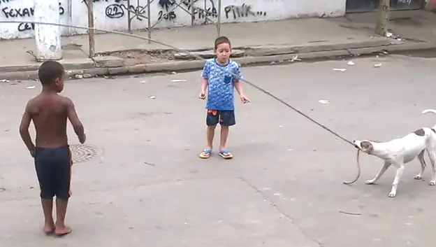 "Mingiuţă", câinele care participă la toate jocurile copiilor din cartier. Imaginile sunt amuzante