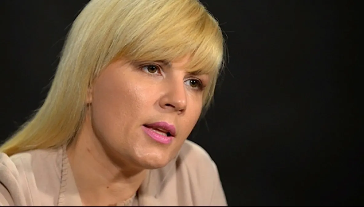 FOTO. Elena Udrea, apariţie răvăşitoare de Revelion. Rochia a furat toate privirile 