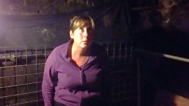 A auzit zgomote ciudate într-o cameră şi a mers să verifice locul. A încremenit când a deschis uşa