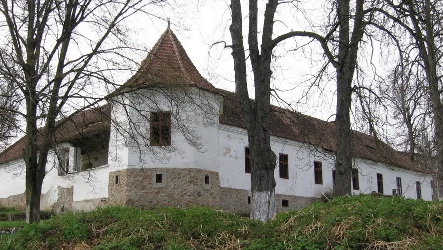 Castel vândut la preț de garsonieră