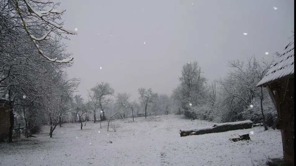 Ninge ca-n povești la Sibiu. Un strat subțire de zăpadă s-a depus, deja, pe străzi
