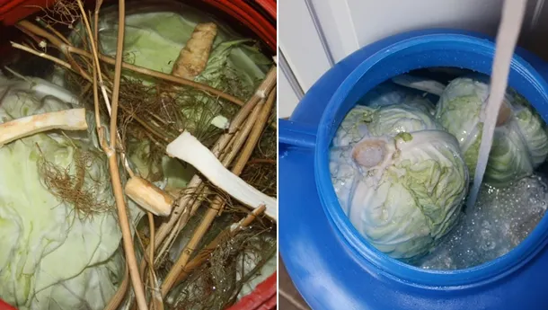 Când şi cum se pune varza la murat? Reţeta pe care trebuie să o urmezi pas cu pas