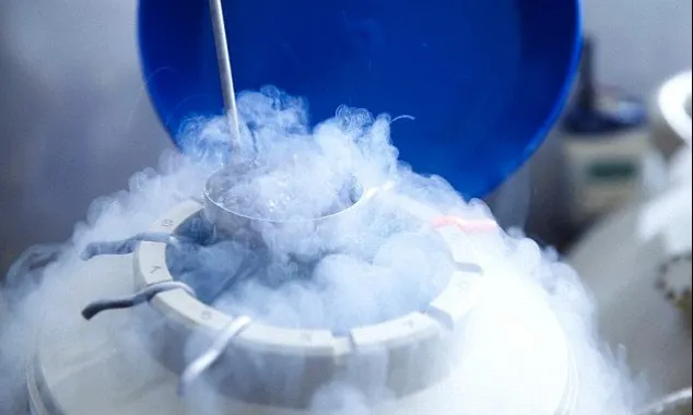 Cum arată primii căţei născuţi după un tratament de fertilizare in vitro