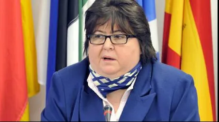 Alina Mungiu Pippidi: Este în regulă să avem servicii, dar să îşi facă treaba lor constituţională
