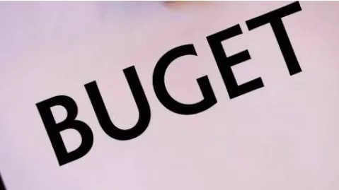 Legea bugetului de stat, dezbătută în Comisiile reunite de buget-finanțe ale Parlamentului 