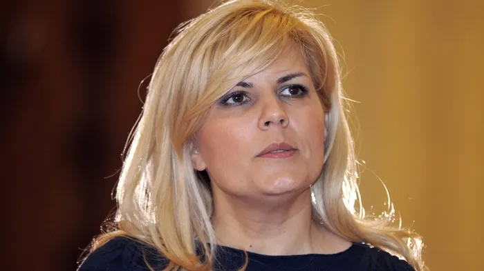 Elena Udrea confirmă că ştia de interceptarea lui Dan Andronic: Nu am aflat asta de la Alina Bica