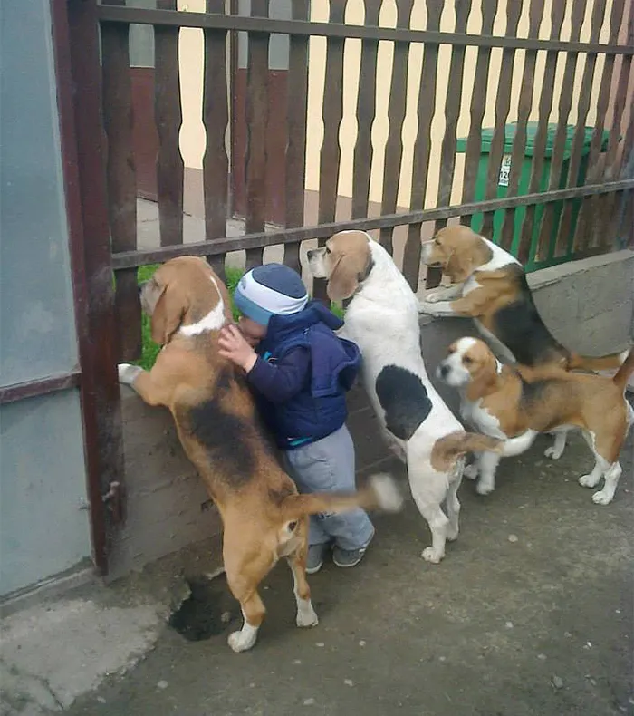 Top 20 de fotografii emoționante, care demonstrează nevoia copiilor de animale