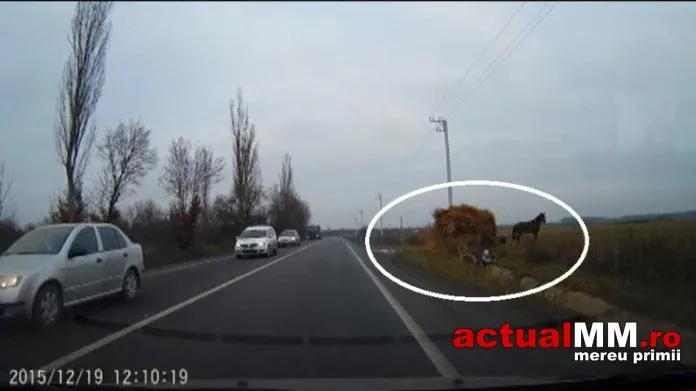 Cascadorii râsului, în Maramureş. Ce a surprins o cameră de pe bordul unei maşini