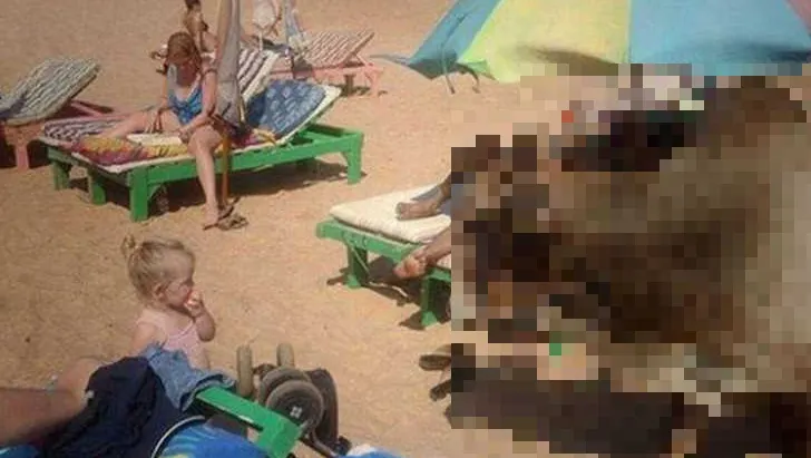 Ce a apărut pe plajă, printre copii. Oamenilor nu le-a venit să creadă şi au alertat autorităţile