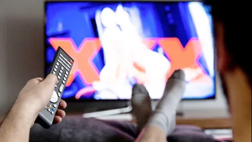 STUDIU: Pornografia reduce volumul creierului