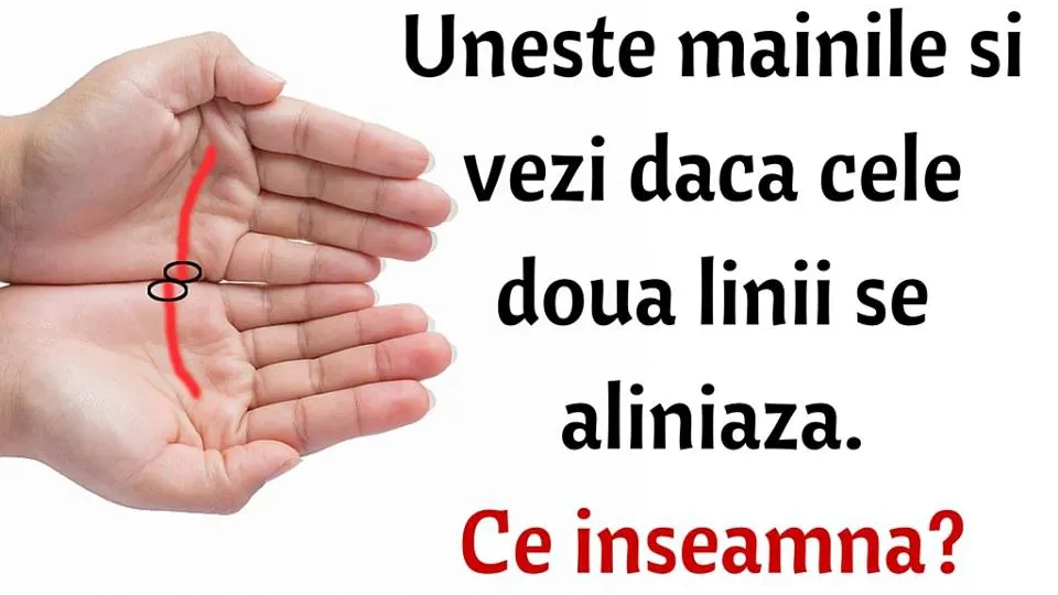 Vezi dacă aceste doua linii din palmele tale se aliniază și ce înseamnă acest lucru!