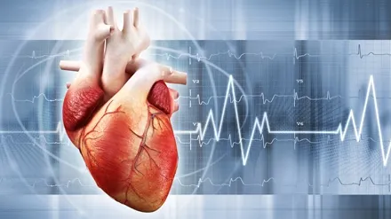 12 curiozităţi despre inimă pe care trebuie să le afli