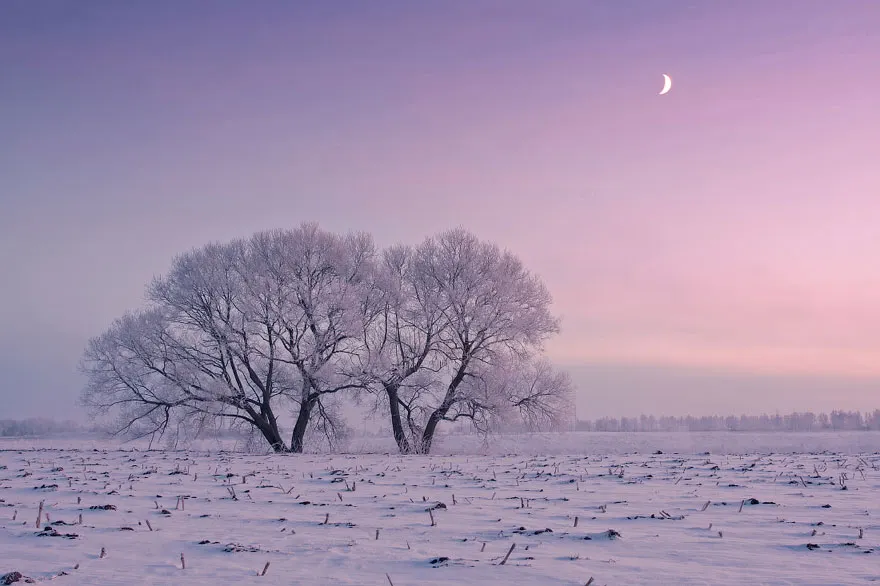 Cine se trezește de dimineață, departe ajunge! Top cele mai frumoase fotografii ale iernii