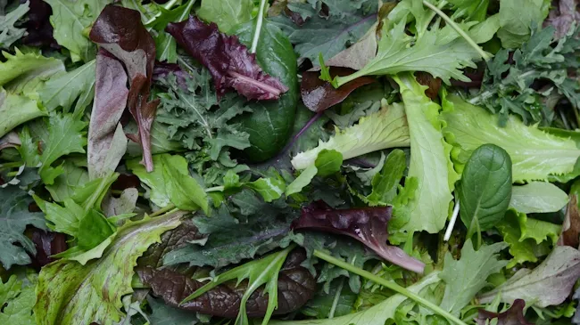 Salata la pungă, o bombă pentru sănătate. Iată ce poate conţine!