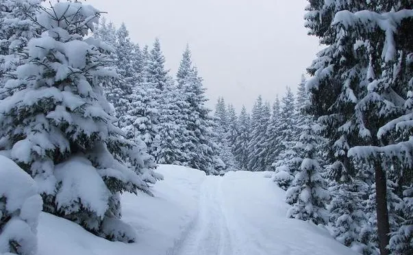Un singur sat din judeţul Alba va avea şcoala închisă din cauza zăpezii
