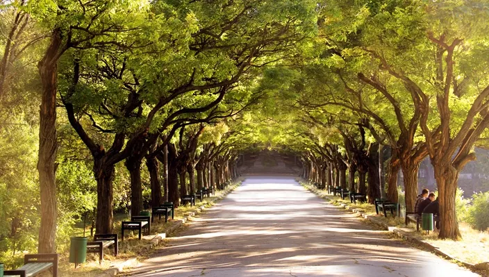 Nici nu-ţi vine să crezi cum a fost surprins un bărbat în parc, în plină zi - VIDEO