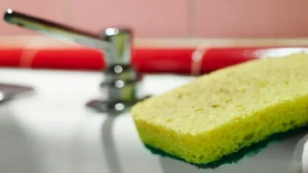 A tăiat un burete de vase în două bucăţi. Ce urmează este fenomenal! Știai că poți să faci așa ceva?