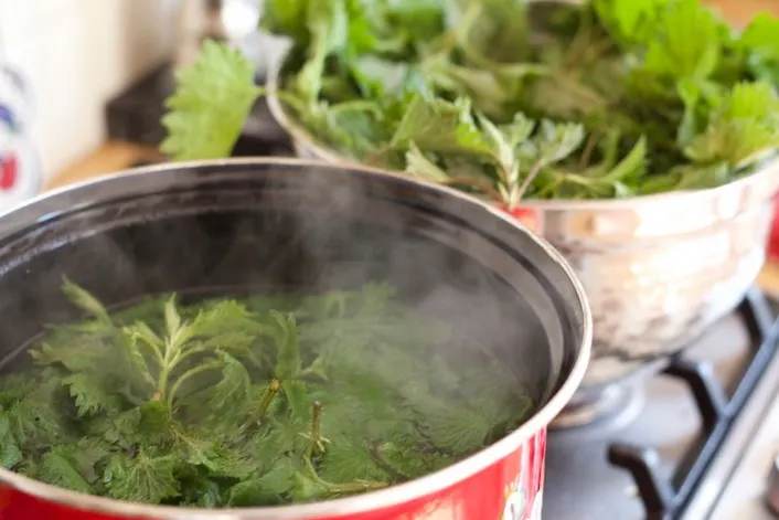 Aşa faci cea mai bună mâncărică de URZICI. Ingredientul secret care-i dă tot gustul