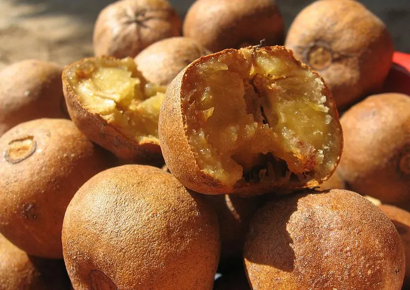 AŞA ar trebui să arate fructele şi legumele. IMAGINI RARE cu ce mâncau strămoşii noştri