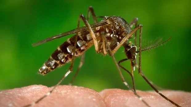 Trei persoane care aveau virusul Zika au decedat în Columbia 