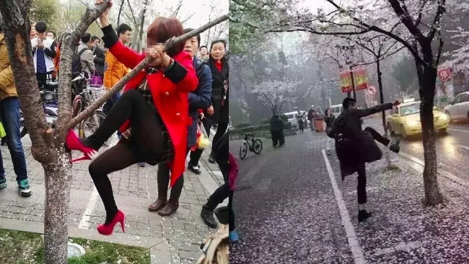 Cele mai penibile fotografii ale primăverii: au fost în stare de orice pentru un selfie!