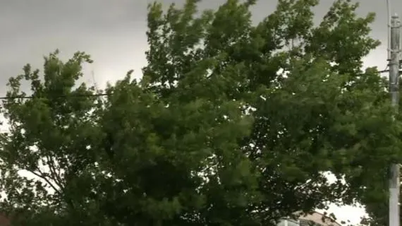 Cod galben de vânt în sud-estul țării! Precipitaţii predominant sub formă de ninsoare, la munte 