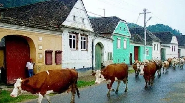 Casa Regelul Charles din România, descrisă în presa britanică drept „proprietate transilvăneană în stil Dracula”. Cu cât poți închiria camera în care stă regele