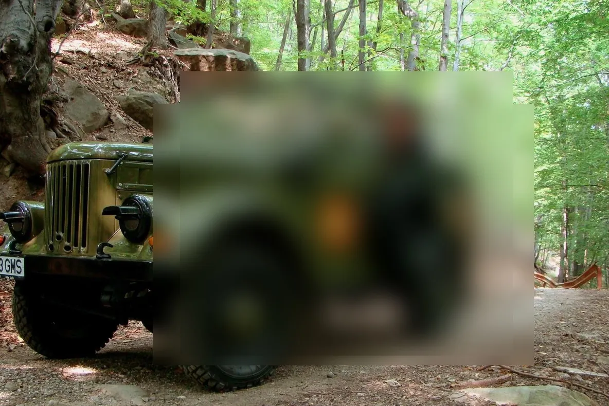 Cum arată toate maşinile off-road fabricate vreodată în România. Spectacol grotesc sau artă?