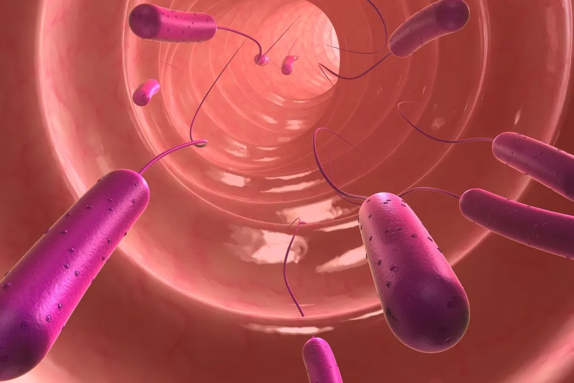 Ce este bacteria E. Coli. Toxina care a pus România pe jar