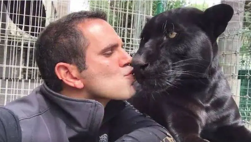 Are 13 milioane de vizualizări şi sute de mii de like-uri. Ce-a putut să facă acest om!  - VIDEO