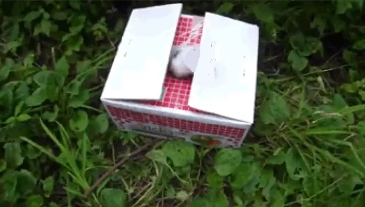 A găsit o cutie în pădure, într-un loc izolat. A luat-o cu el...Când a ajuns acasă era prea târziu