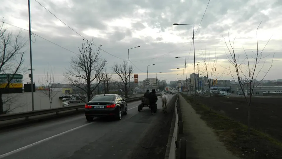 GALERIE FOTO. Asta este România! Cele mai amuzante fotografii din judeţul lui Liviu Dragnea