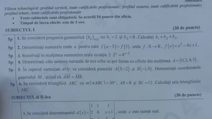 Simulare Bac 2016 Matematică. Ce subiecte au primit elevii de clasa a XII-a şi clasa a XI-a