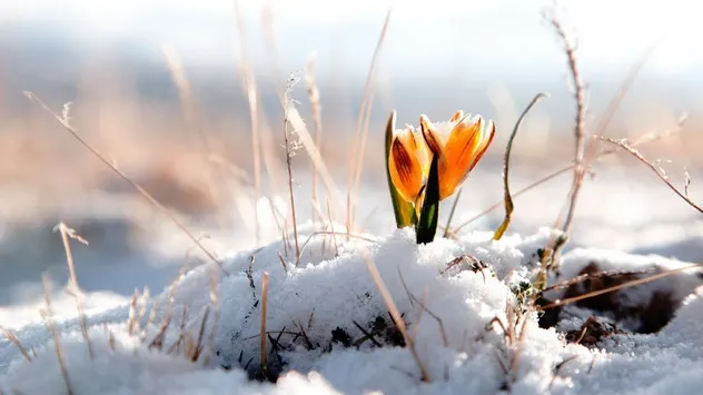 Soare cu dinţi, lapoviţe şi ninsori. Prognoza meteo pe trei zile 