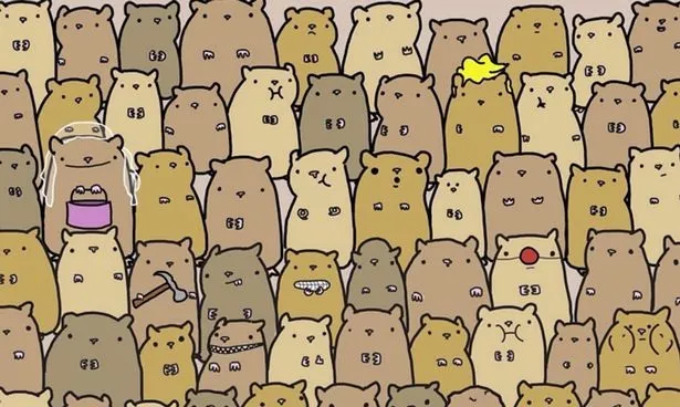 Cea mai tare iluzie optică! Găsește cartoful ascuns printre hamsteri